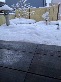 北陸(福井県)の冬